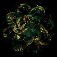 2026-DesignsbyForteMasked800x800-766