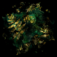 2026-DesignsbyForteMasked800x800-767