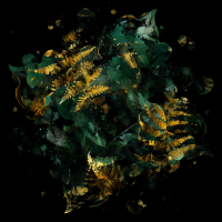 2026-DesignsbyForteMasked800x800-770