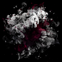 2026-DesignsbyForteMasked800x800-775