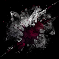 2026-DesignsbyForteMasked800x800-790