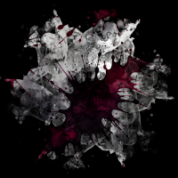2026-DesignsbyForteMasked800x800-793