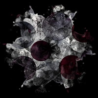 2026-DesignsbyForteMasked800x800-794