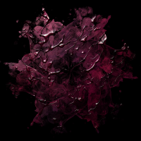 2026-DesignsbyForteMasked800x800-795