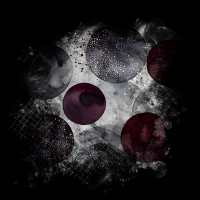 2026-DesignsbyForteMasked800x800-804