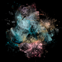 2026-DesignsbyForteMasked800x800-880