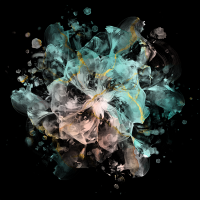 2026-DesignsbyForteMasked800x800-909