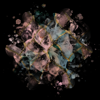 2026-DesignsbyForteMasked800x800-910