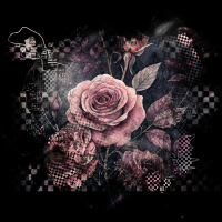 2026-DesignsbyForteMasked800x800-921