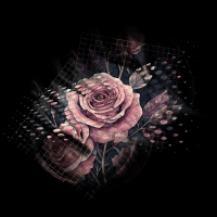 2026-DesignsbyForteMasked800x800-932