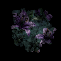 2026-DesignsbyForteMasked800x800-950
