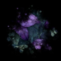 2026-DesignsbyForteMasked800x800-952