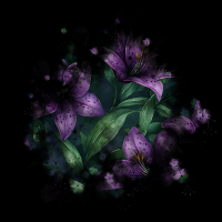 2026-DesignsbyForteMasked800x800-955