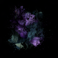 2026-DesignsbyForteMasked800x800-961