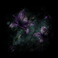 2026-DesignsbyForteMasked800x800-963
