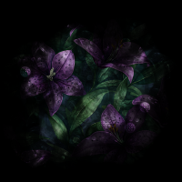 2026-DesignsbyForteMasked800x800-965