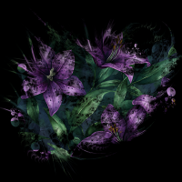 2026-DesignsbyForteMasked800x800-975