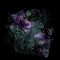 2026-DesignsbyForteMasked800x800-980