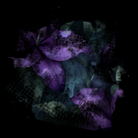 2026-DesignsbyForteMasked800x800-951