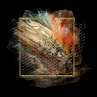 2024-DesignsbyForteElement-57