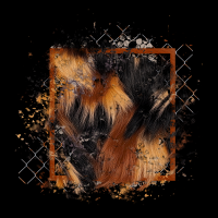 2025-designsbyforteelement-255