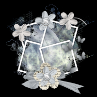 2025-designsbyforteelement-35