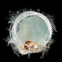 2025-designsbyforteelement-38 2025-designsbyforteelement-38