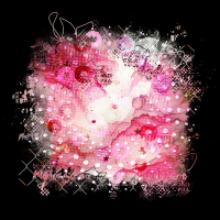 2025-designsbyforteelement-386