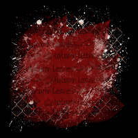 2025-designsbyforteelement-476