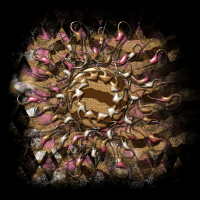 decorativeelement-002