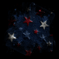 2026-DesignsbyFortePatriotic-108 2026-DesignsbyFortePatriotic-108