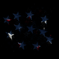 2026-DesignsbyFortePatriotic-118