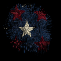 2026-DesignsbyFortePatriotic-124 2026-DesignsbyFortePatriotic-124